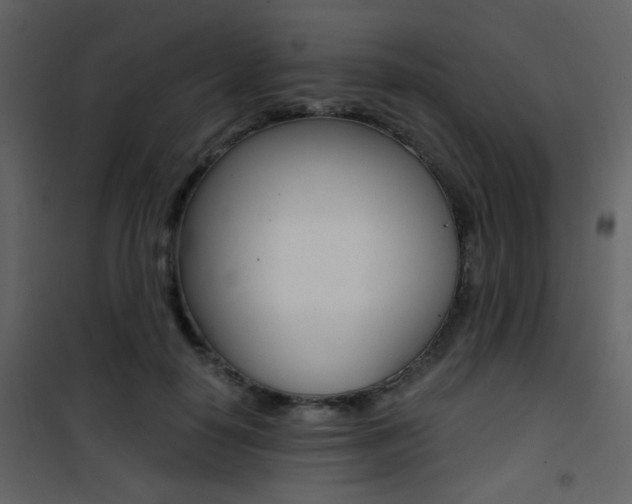X0000101950650200807171134