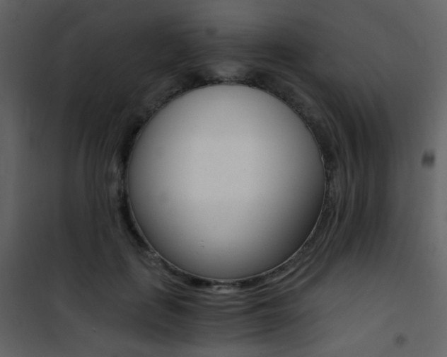 X0000101950651200807171134