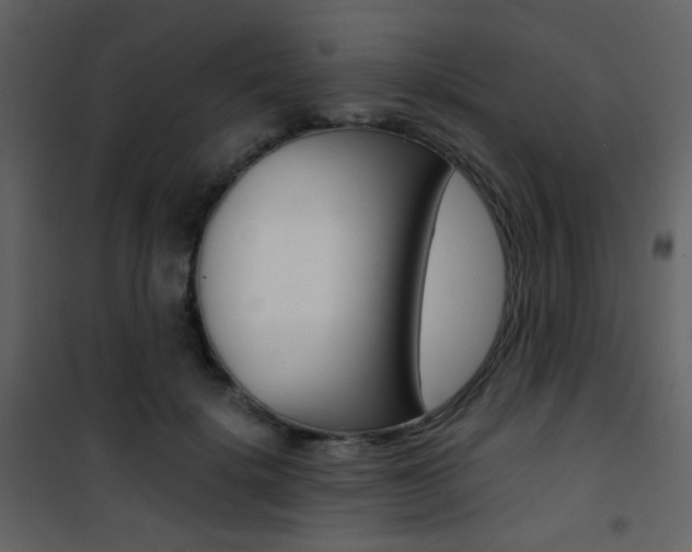 X0000101950652200807171134