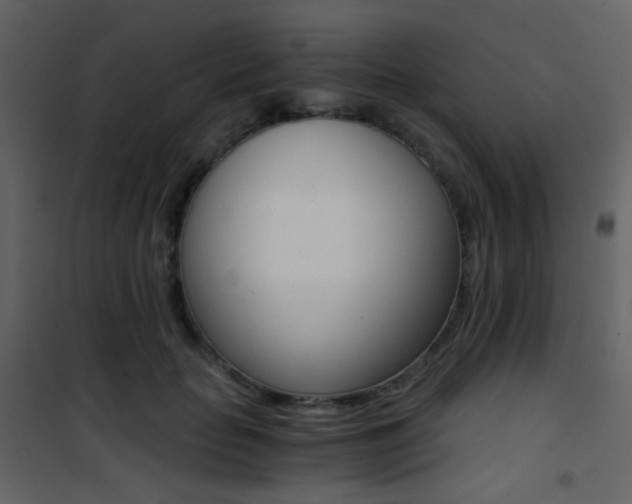 X0000101950653200807171134