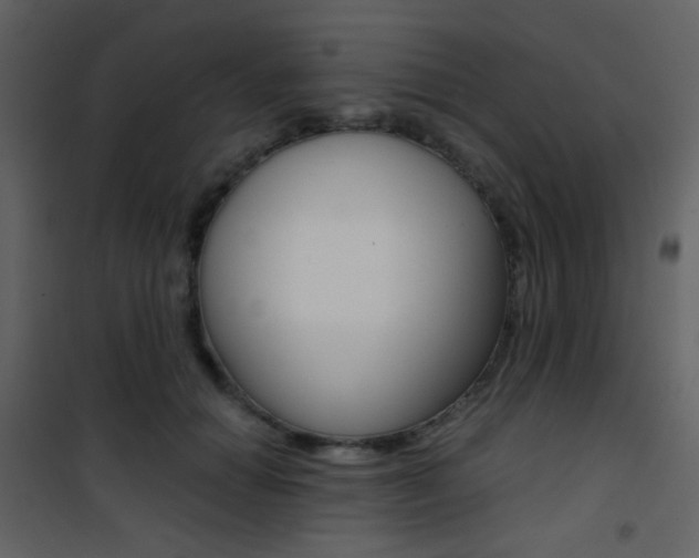 X0000101950654200807171134