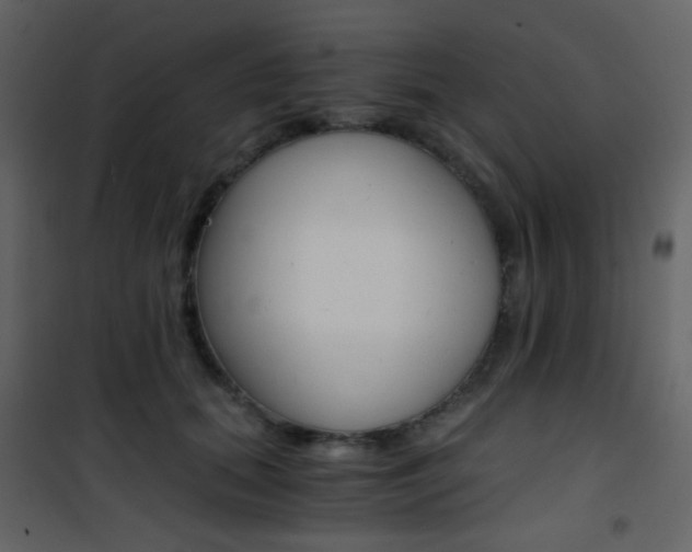 X0000101950655200807171134