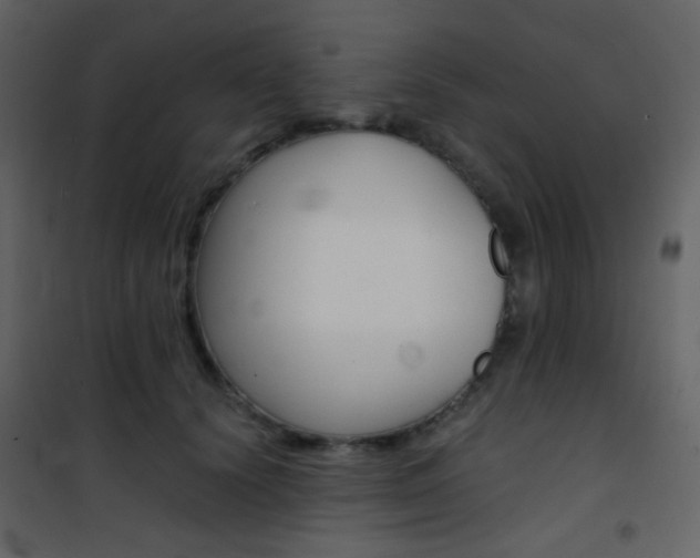 X0000101950656200807171134