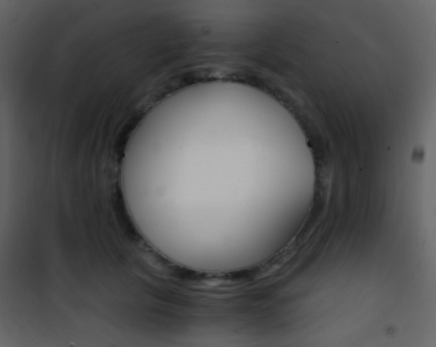 X0000101950657200807171134