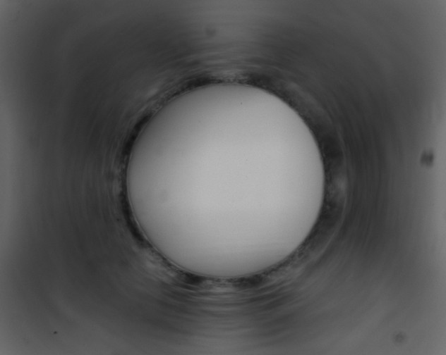 X0000101950658200807171134