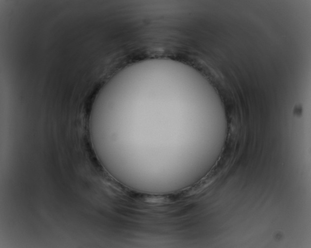 X0000101950659200807171134