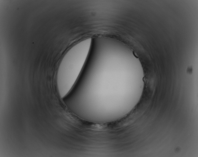 X0000101950660200807171134