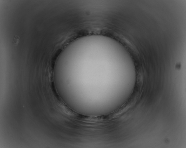 X0000101950661200807171134