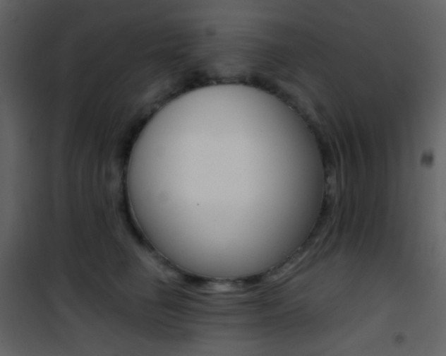 X0000101950662200807171134