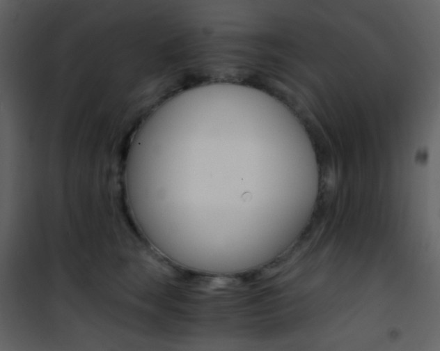 X0000101950663200807171134