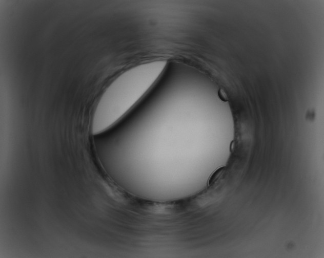 X0000101950664200807171134