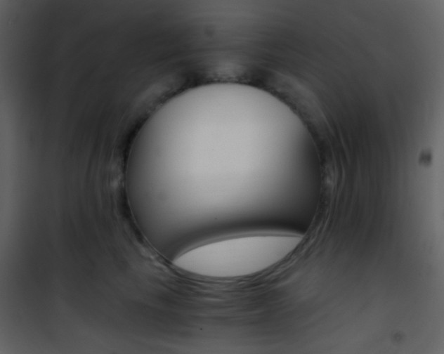 X0000101950665200807171134