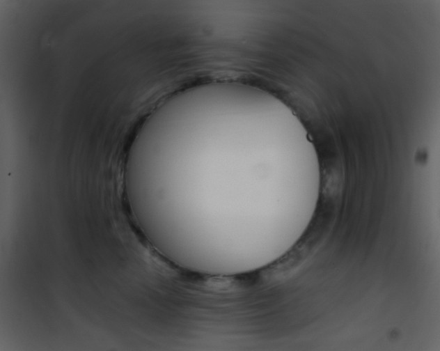 X0000101950666200807171134