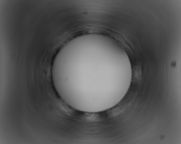 X0000101950667200807171134