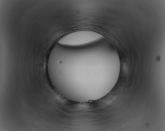 X0000101950668200807171134