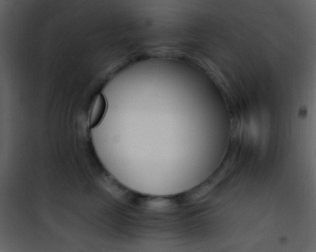 X0000101950669200807171134