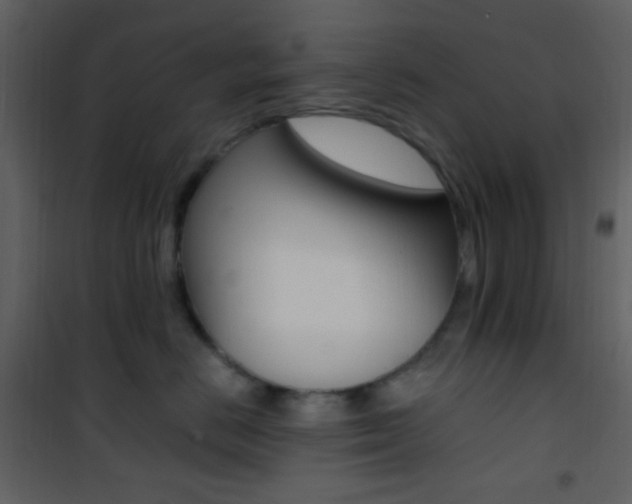 X0000101950670200807171134