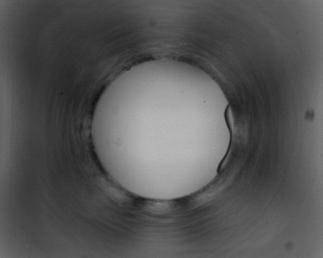 X0000101950671200807171134