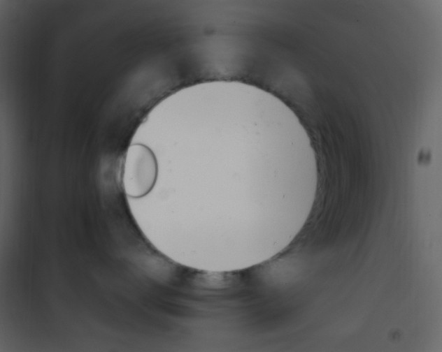 X0000101950672200807171134