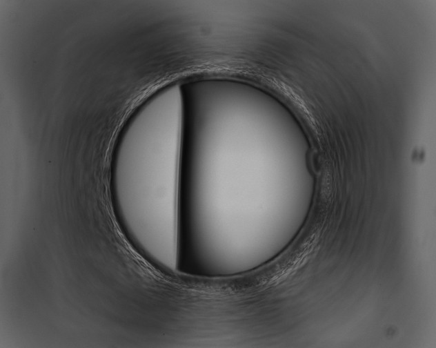 X0000101950673200807171134