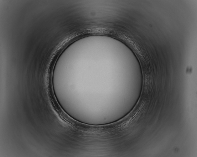X0000101950674200807171134