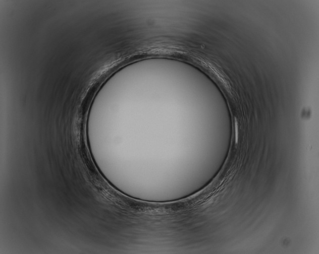 X0000101950675200807171134