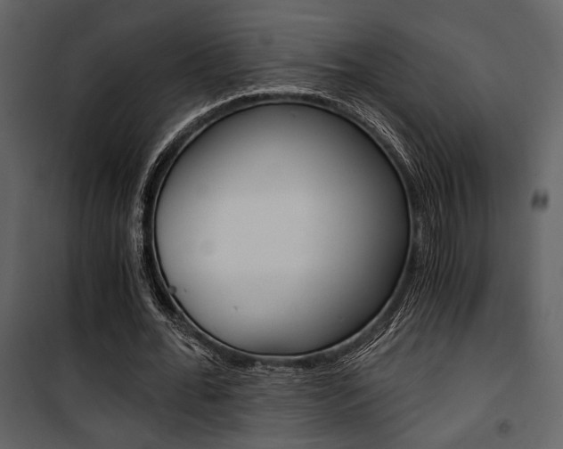 X0000101950676200807171134