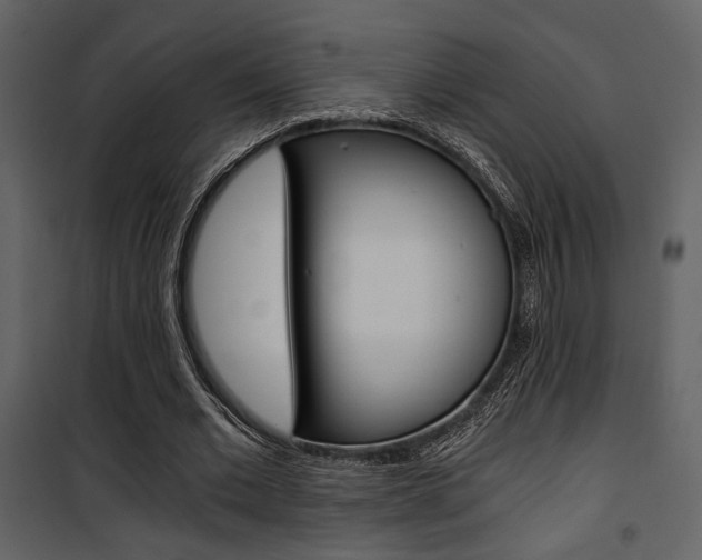 X0000101950677200807171134
