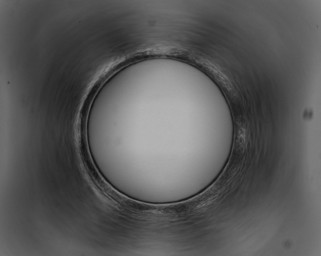 X0000101950678200807171134