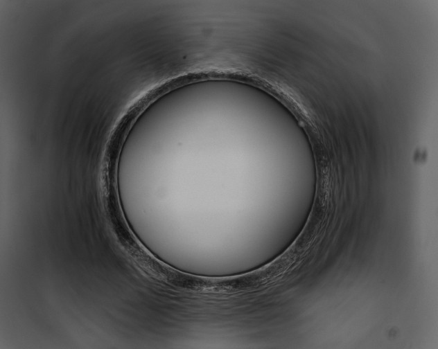 X0000101950680200807171134