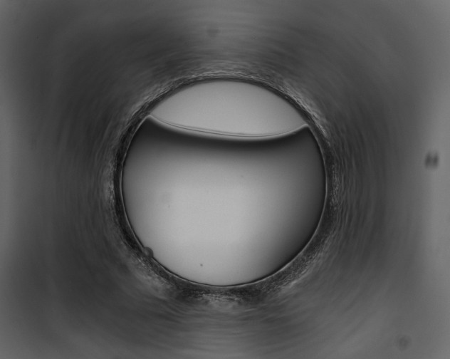 X0000101950681200807171134