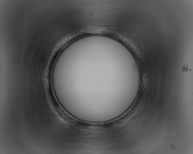 X0000101950682200807171134
