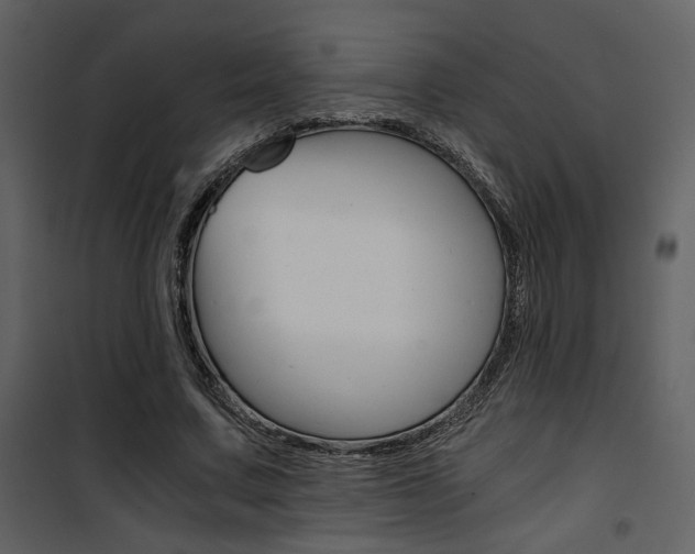 X0000101950683200807171134