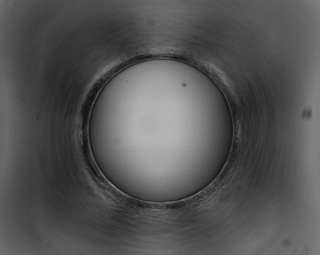 X0000101950684200807171134