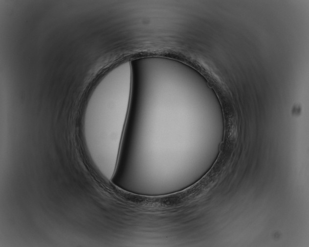 X0000101950685200807171134