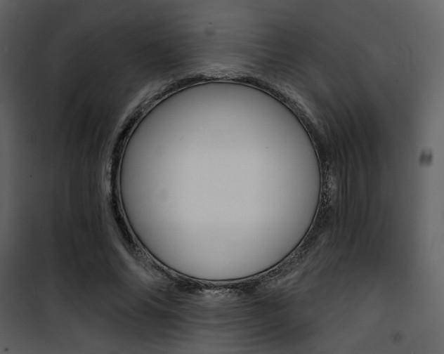 X0000101950686200807171134