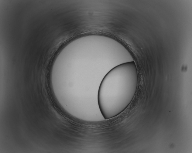 X0000101950687200807171134