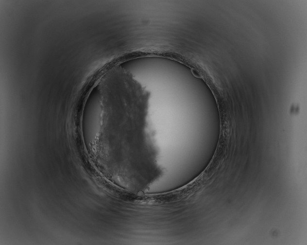 X0000101950688200807171134