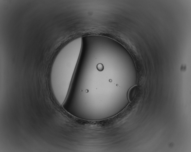 X0000101950689200807171134