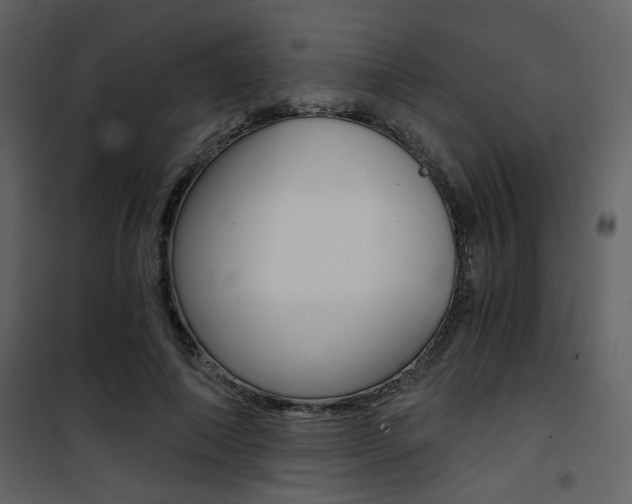 X0000101950690200807171133