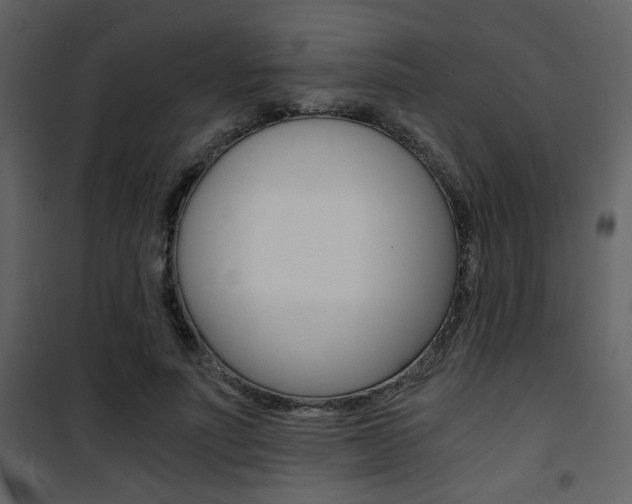 X0000101950691200807171133