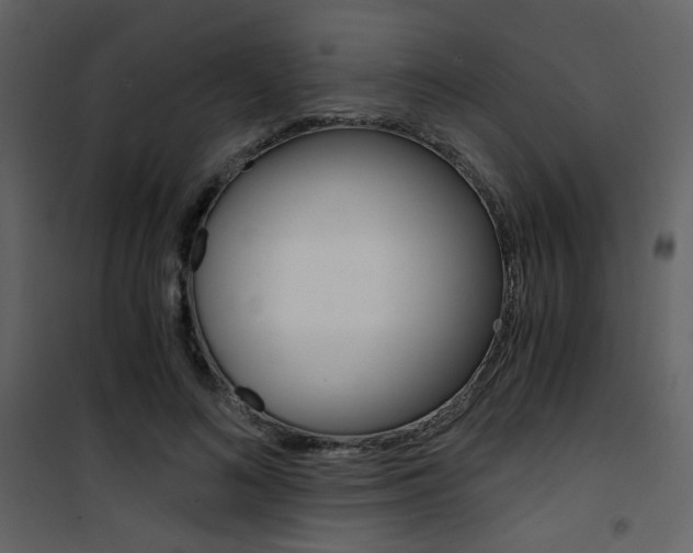 X0000101950692200807171133