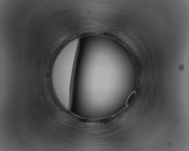 X0000101950693200807171133