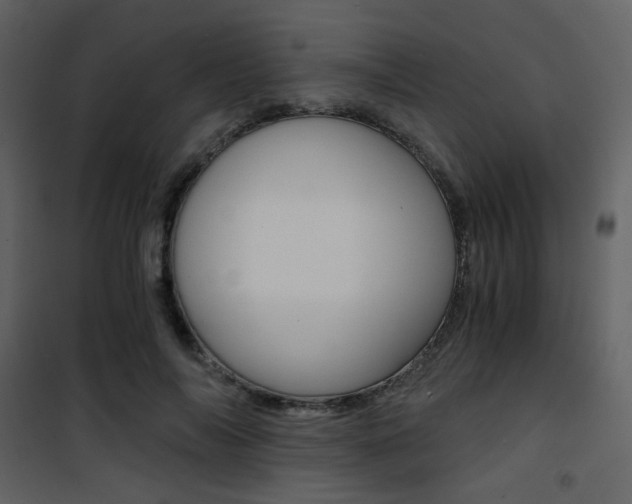 X0000101950694200807171133