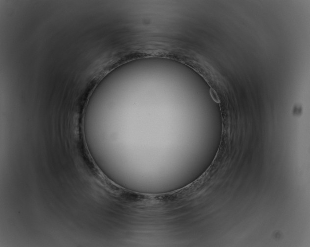 X0000101950696200807171133