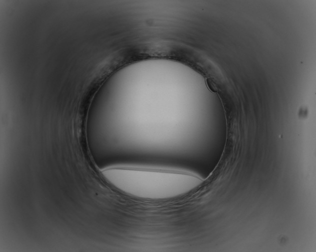 X0000101950697200807171133