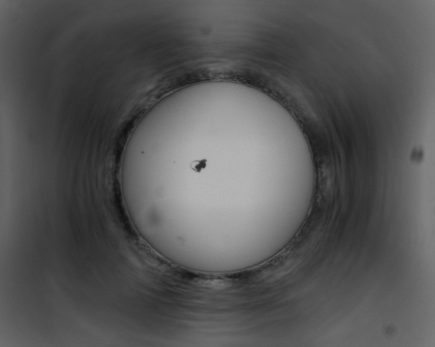 X0000101950698200807171133