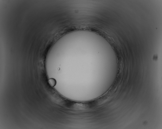 X0000101950699200807171133