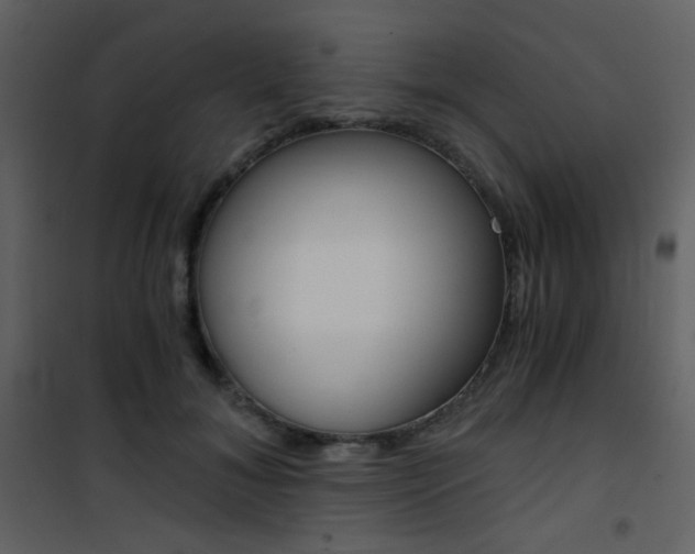 X0000101950700200807171133