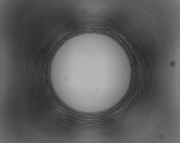 X0000101950701200807171133